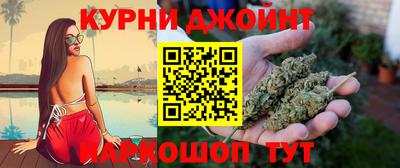 гидра Будённовск