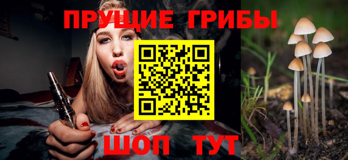 Галлюциногенные грибы Psilocybine cubensis  Вход с VPN  Псилоцибиновые грибы Magic Shrooms  Элиста 